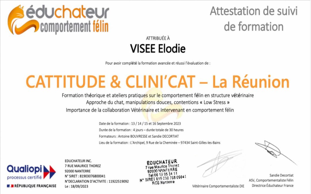 Clinicat Elodie VISEE